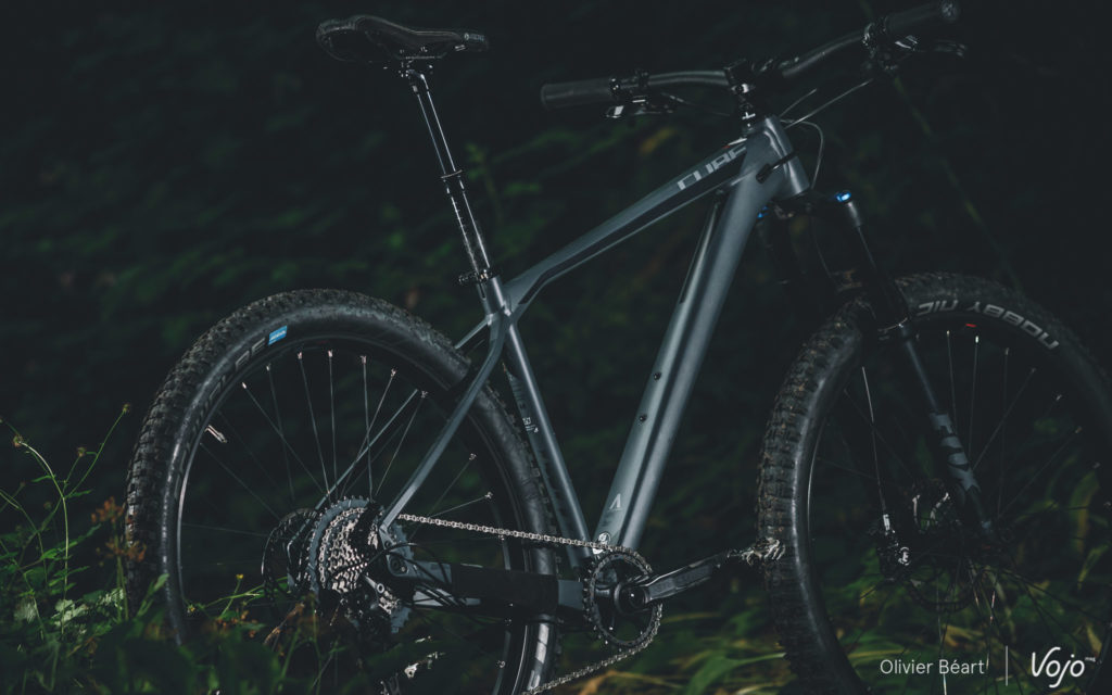 Normaal Optimaal handleiding Test | Cube Reaction HPA Trail Motion: speelse trailhardtail - Vojo Magazine