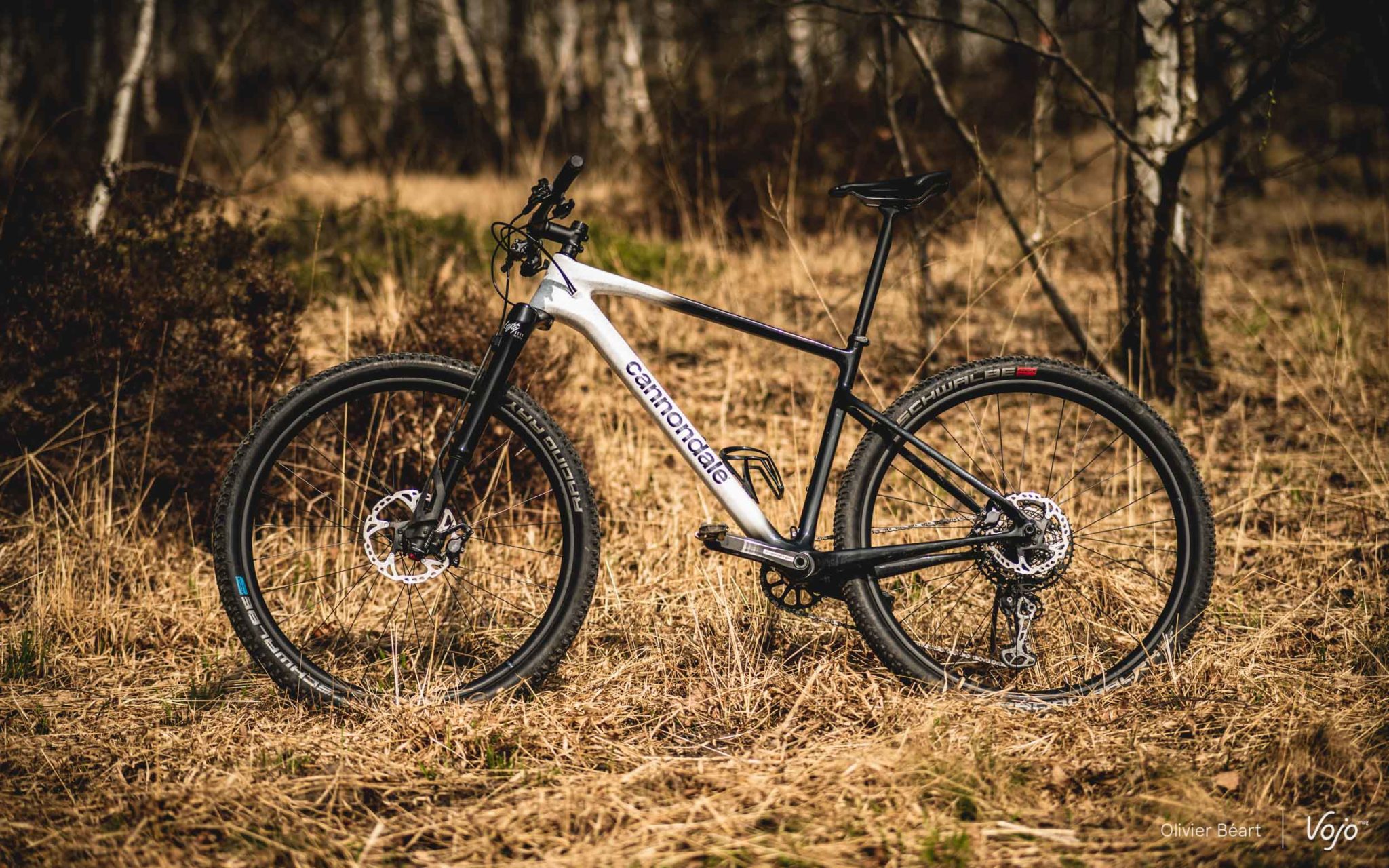 https://www.vojomag.com/app/uploads/2022/05/Cannondale Scalpel HT cprght O Beart Vojomag 4 2048x1280.jpg