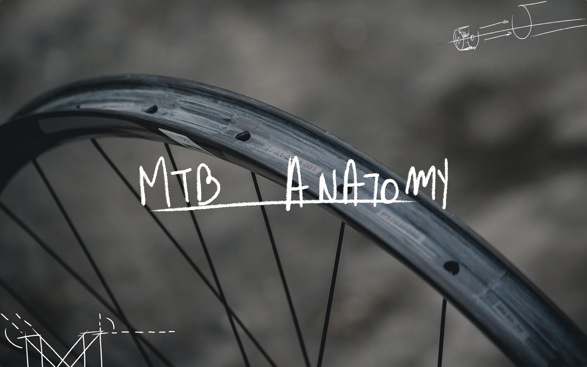 MTB Anatomy #6 : les secrets d'une roue ⋆ Vojo