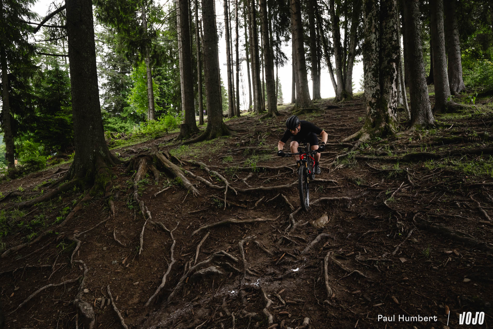 https://www.vojomag.com/app/uploads/2024/07/pinarello dogma ht hardtail test pauline ferrand prevot xc 2024 vojo paul humbert 3.jpg