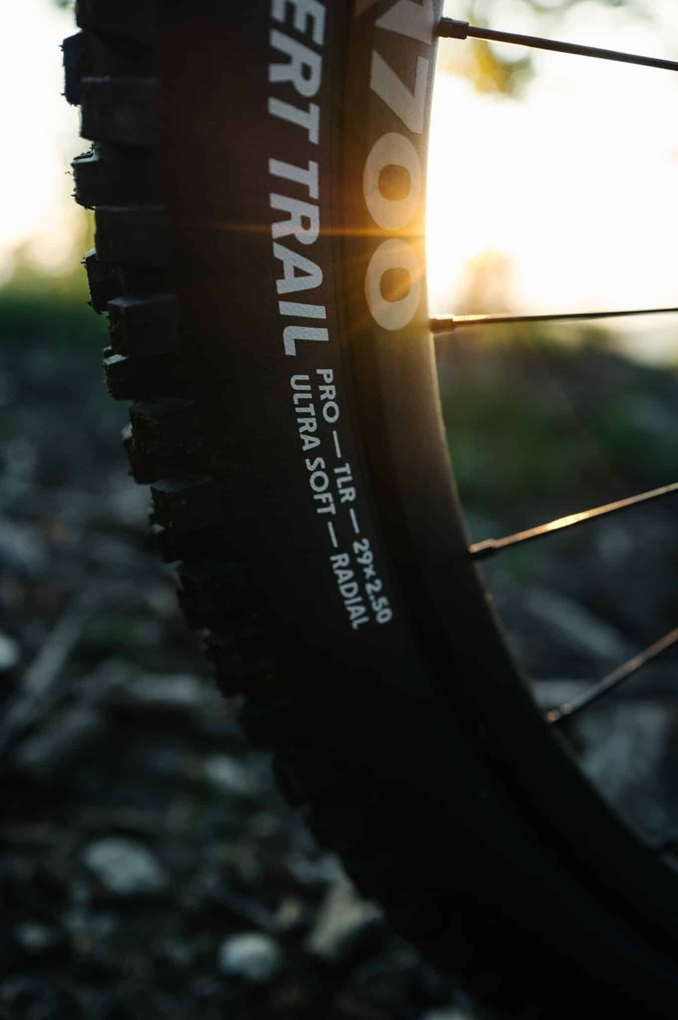 https://www.vojomag.com/app/uploads/2024/08/Schwalbe albert radial finale 04 2 1363x2048.jpg