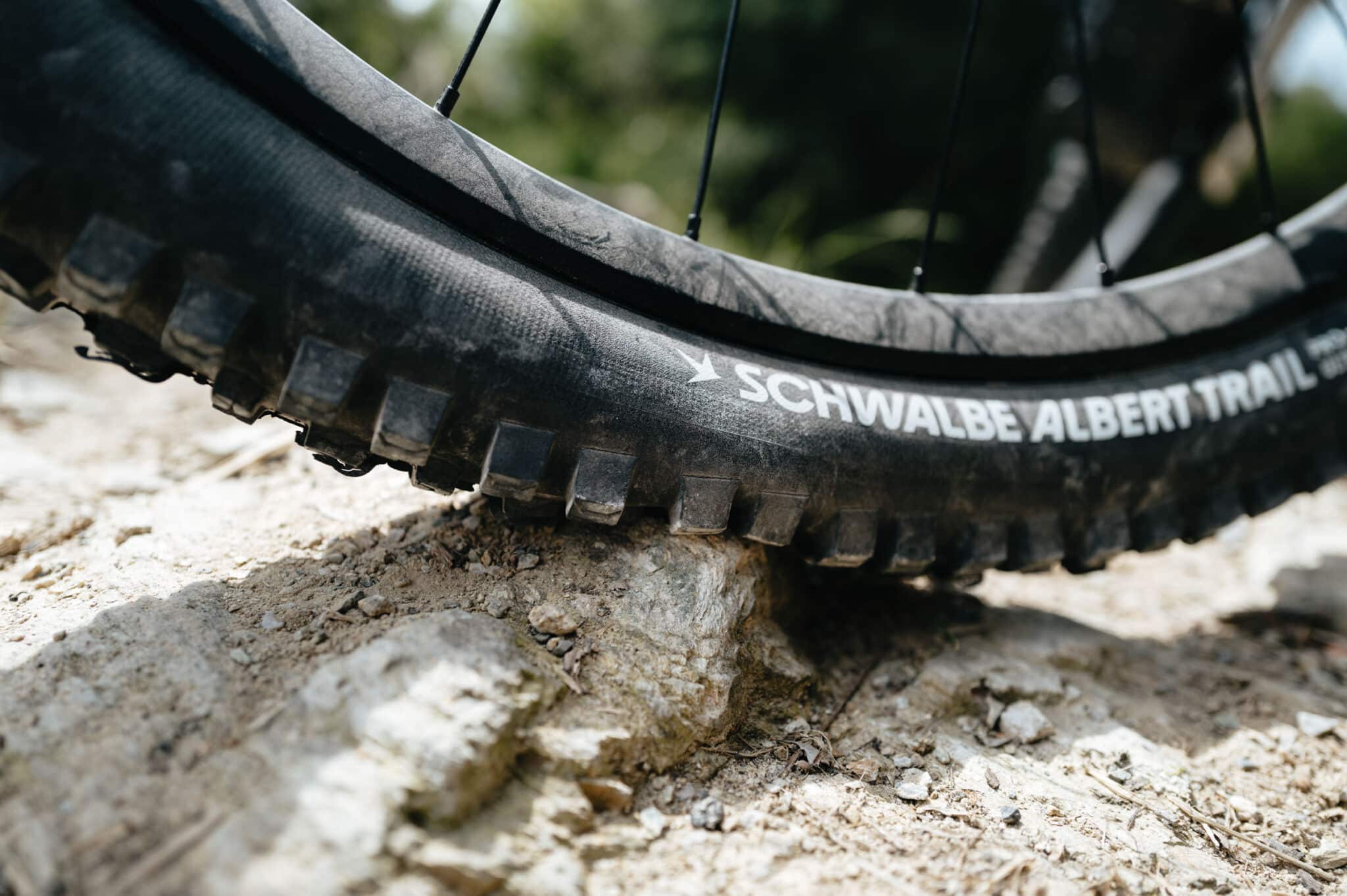 https://www.vojomag.com/app/uploads/2024/08/Schwalbe albert radial finale 13 2 2048x1363.jpg