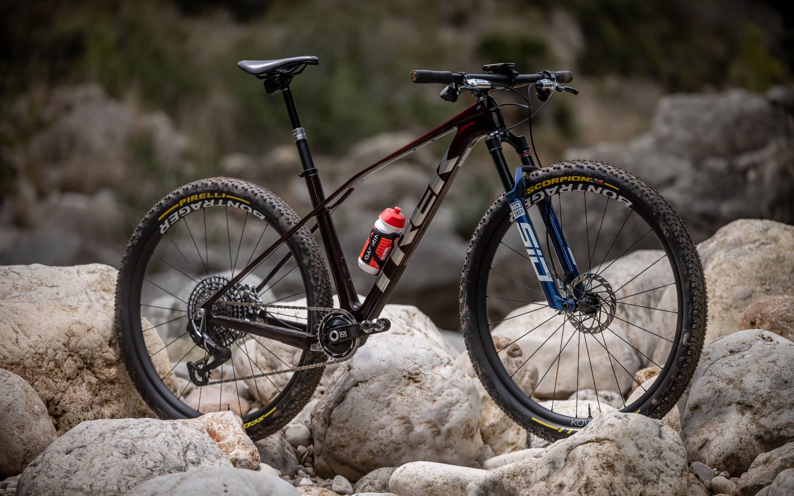 https://www.vojomag.com/app/uploads/2024/08/Trek Procaliber 2024 Test Avis Vojo A.Protano 1 2 scaled.jpg