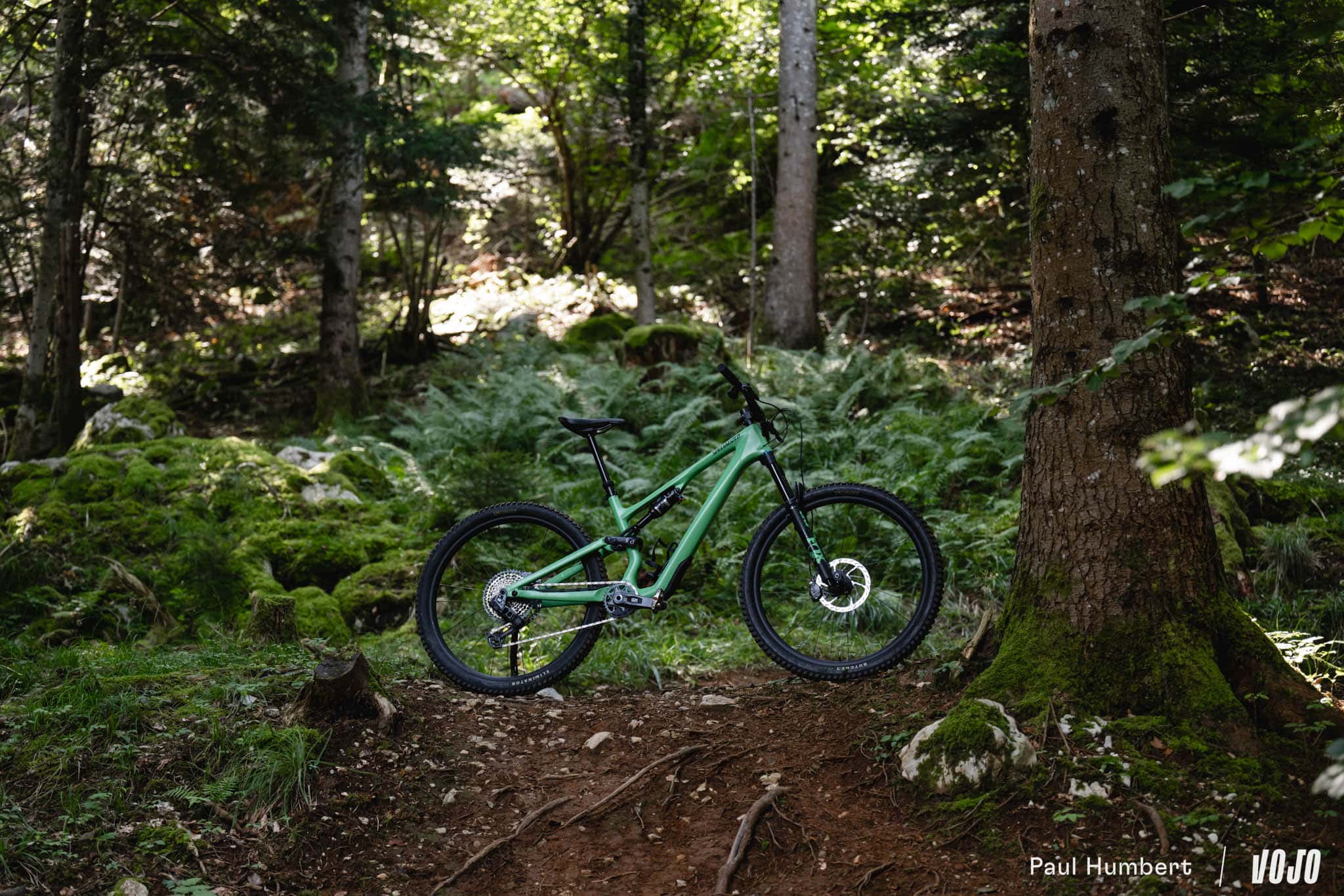 https://www.vojomag.com/app/uploads/2024/08/vtt specialized stumpjumper 15 test 2024 vojo paul humbert 23.jpg