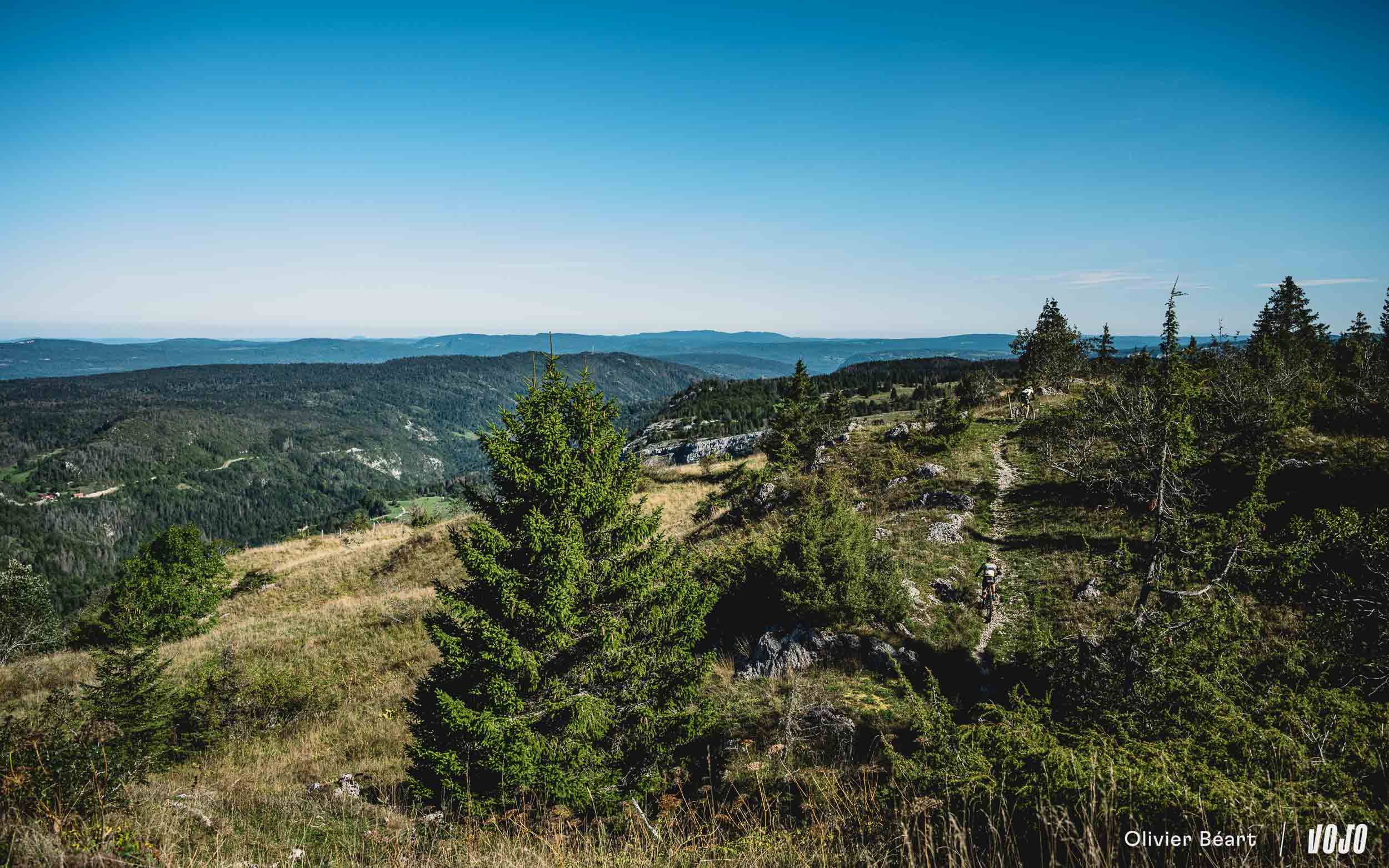 Evénement | La Forestière 2024 : une dernière classique avant l’automne