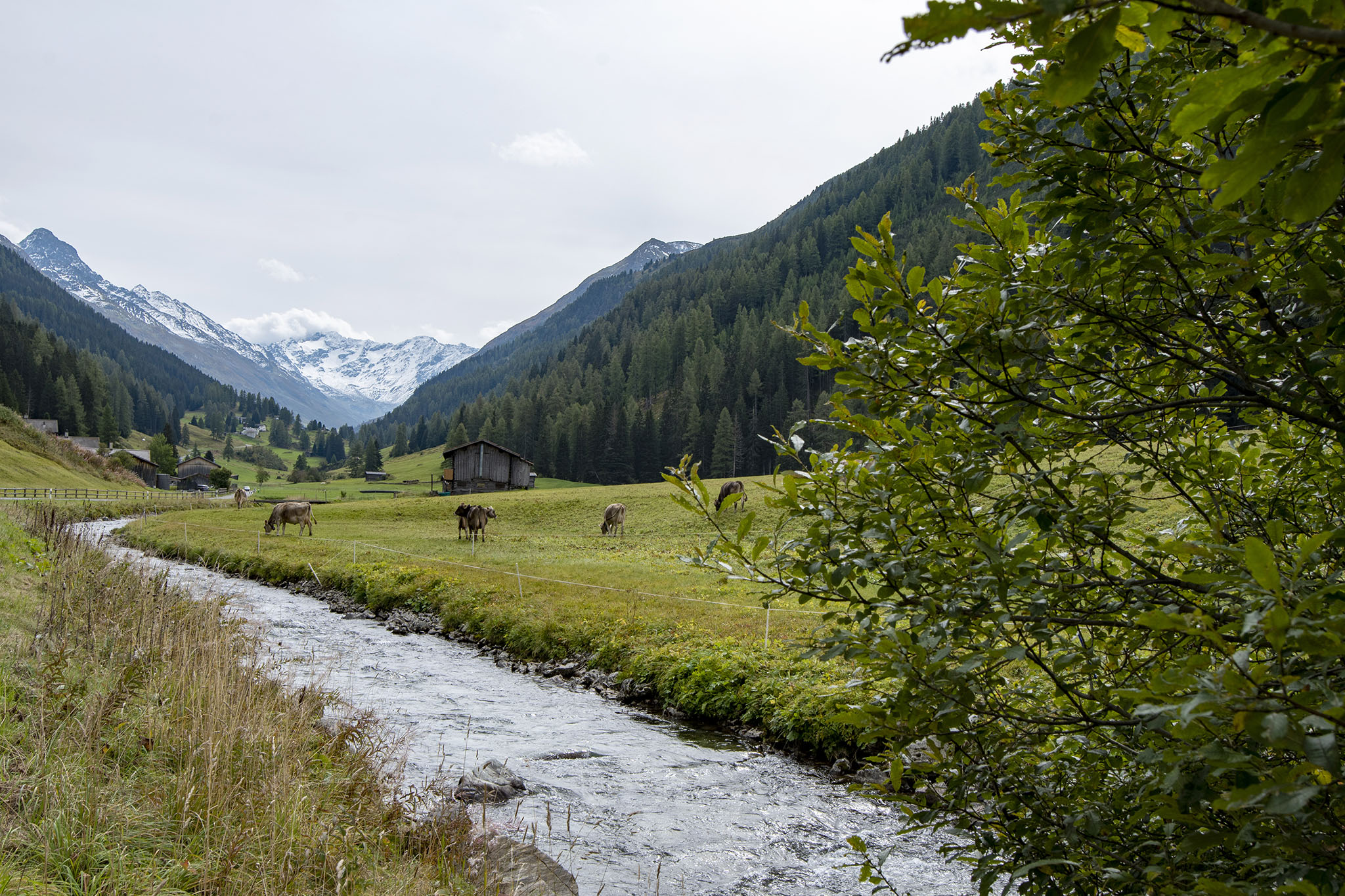 https://www.vojomag.com/app/uploads/2024/11/DAVOS. Vallee Davos2.jpg