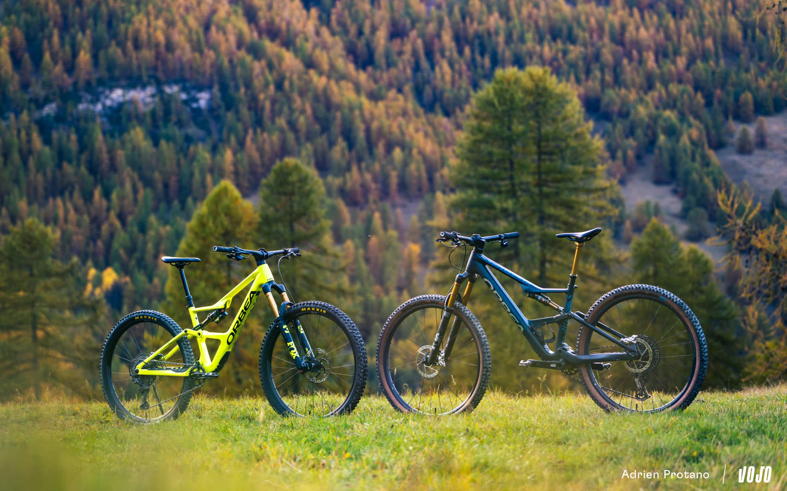 https://www.vojomag.com/app/uploads/2024/11/Orbea Occam SL VS LT test avis comparaison Vojo A.Protano 1 26.jpg