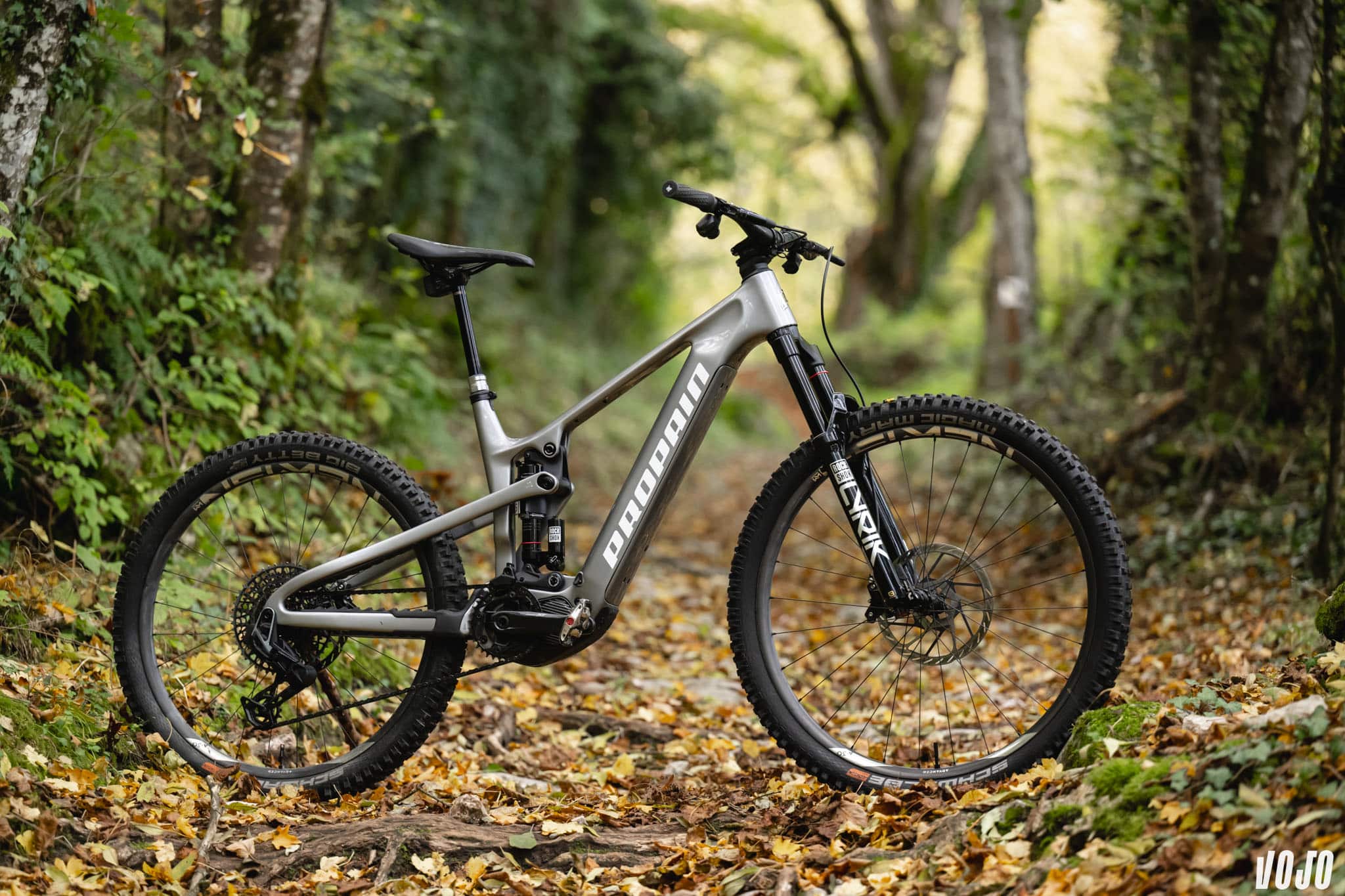 https://www.vojomag.com/app/uploads/2024/11/test vttae propain sresh ebike emtb avis vojo paul humbert 40.jpg