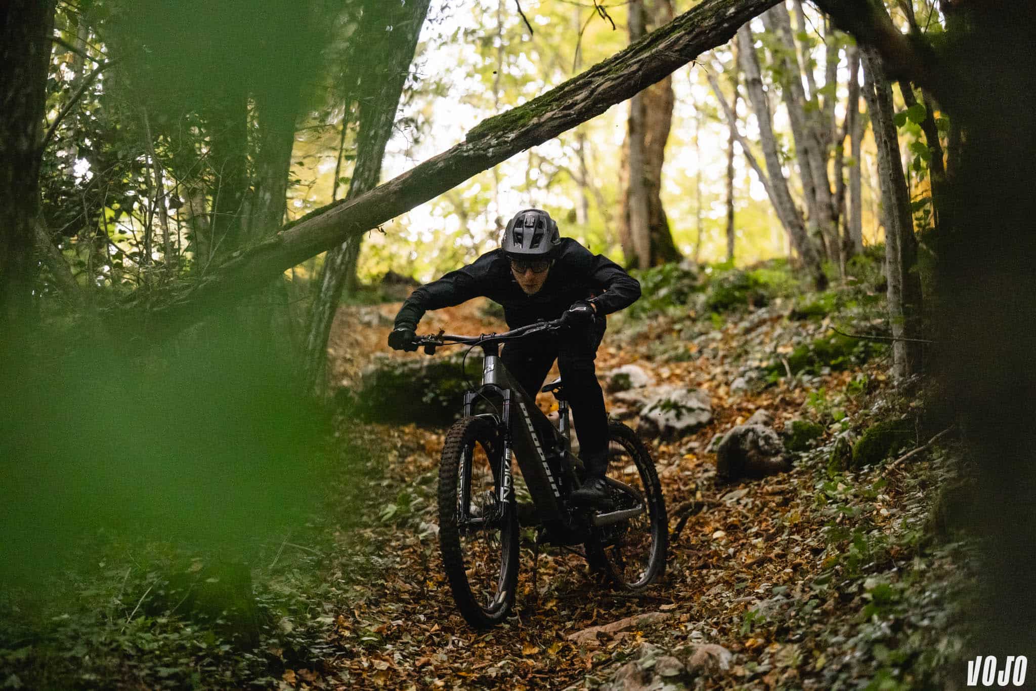 https://www.vojomag.com/app/uploads/2024/11/test vttae propain sresh ebike emtb avis vojo paul humbert 79.jpg