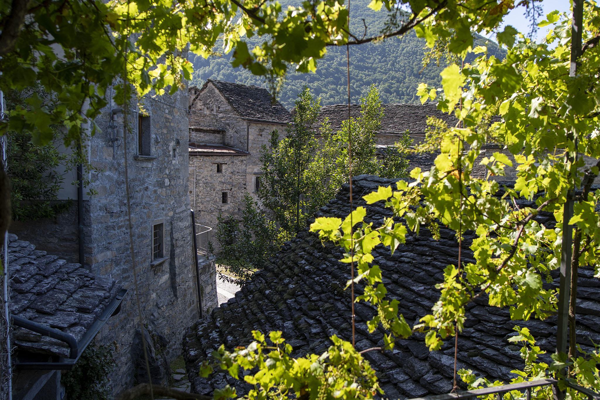 https://www.vojomag.com/app/uploads/2024/12/LUGANO. Village Tessin2.jpg