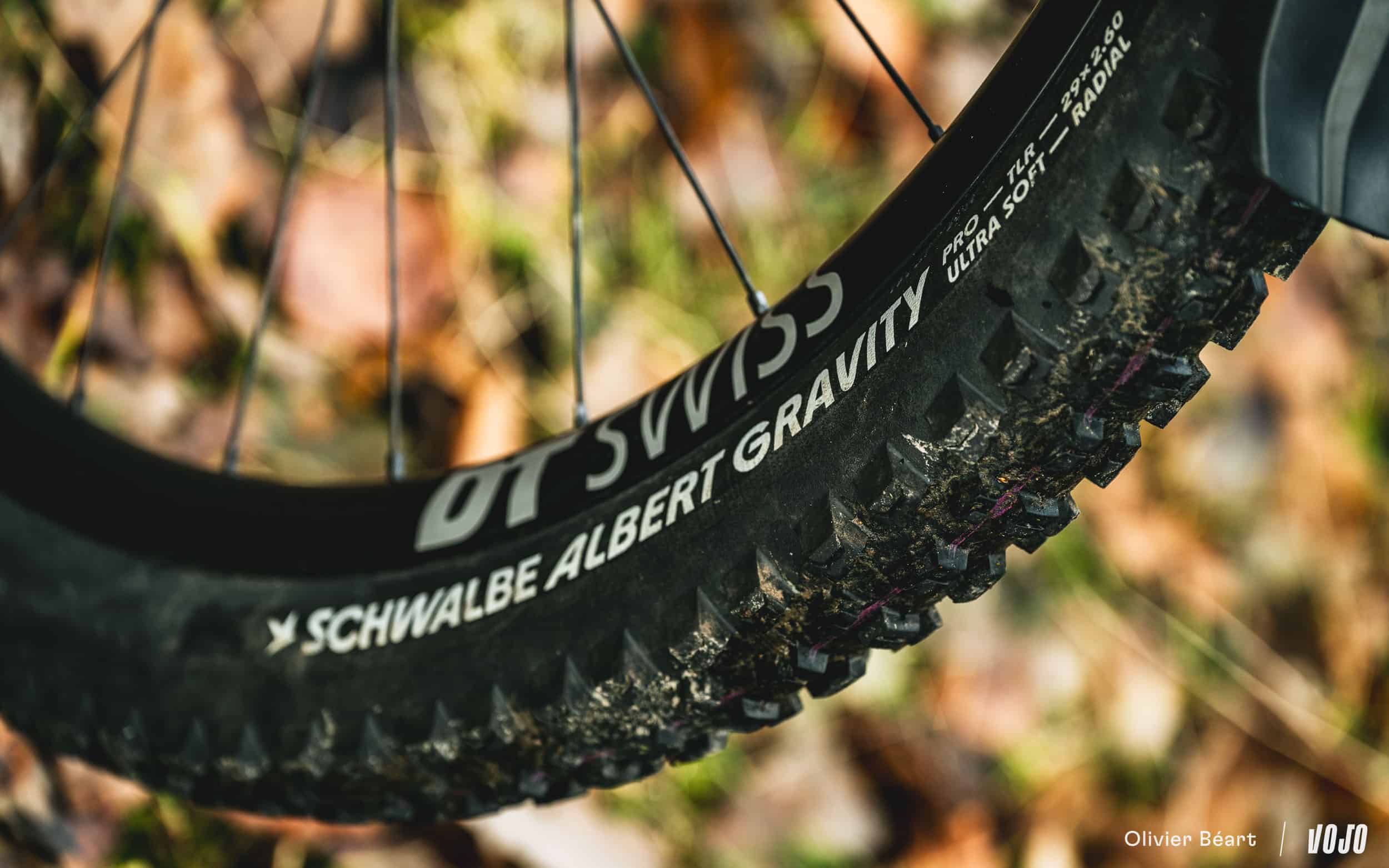 Test | Schwalbe Albert Radial : approche différente, résultat concluant !