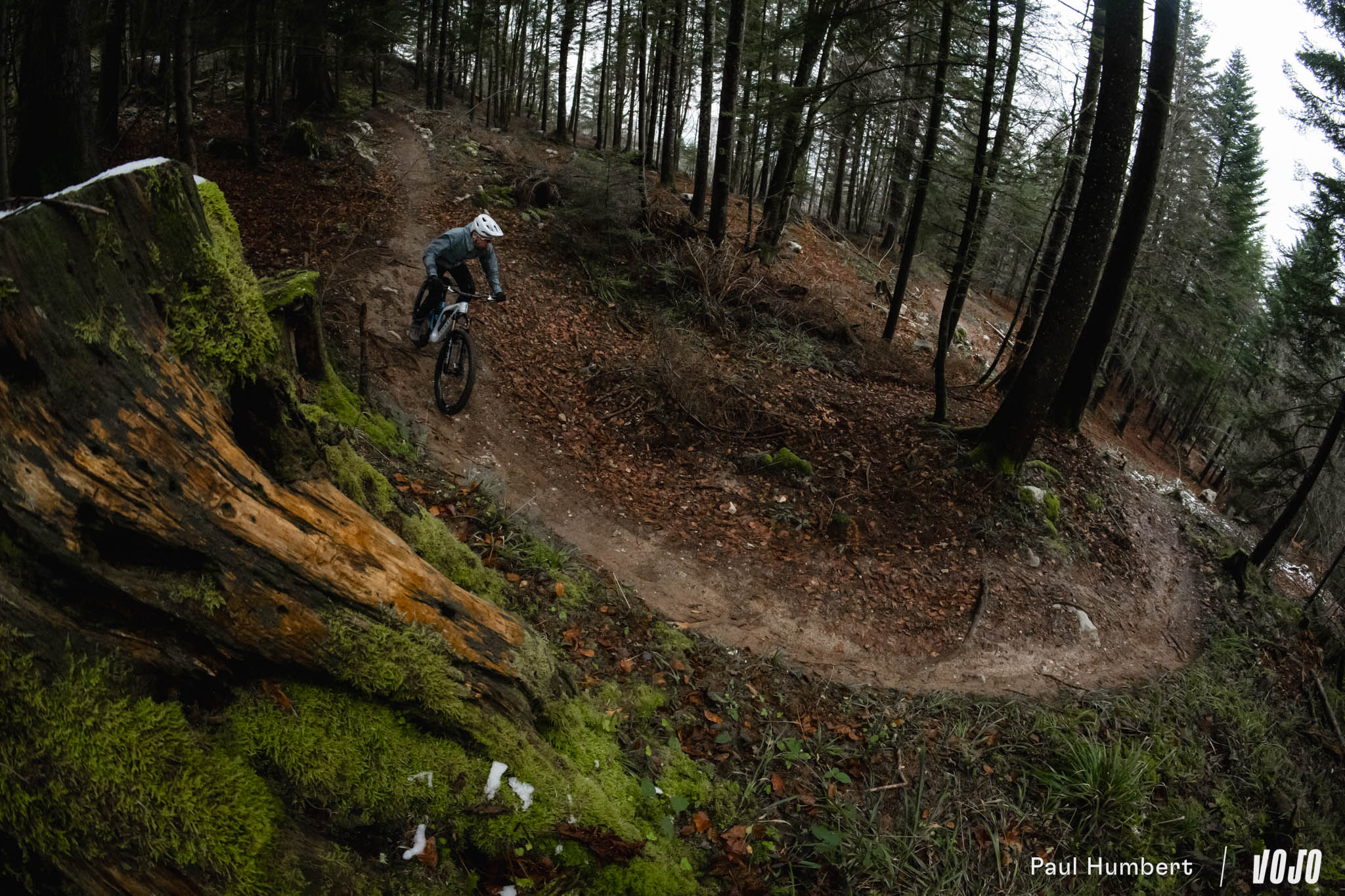 https://www.vojomag.com/app/uploads/2024/12/forestal siryon test vtt 2025 avis 2024 vojo paul humbert 49.jpg