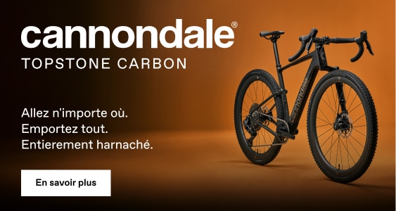 Cannondale Topstone