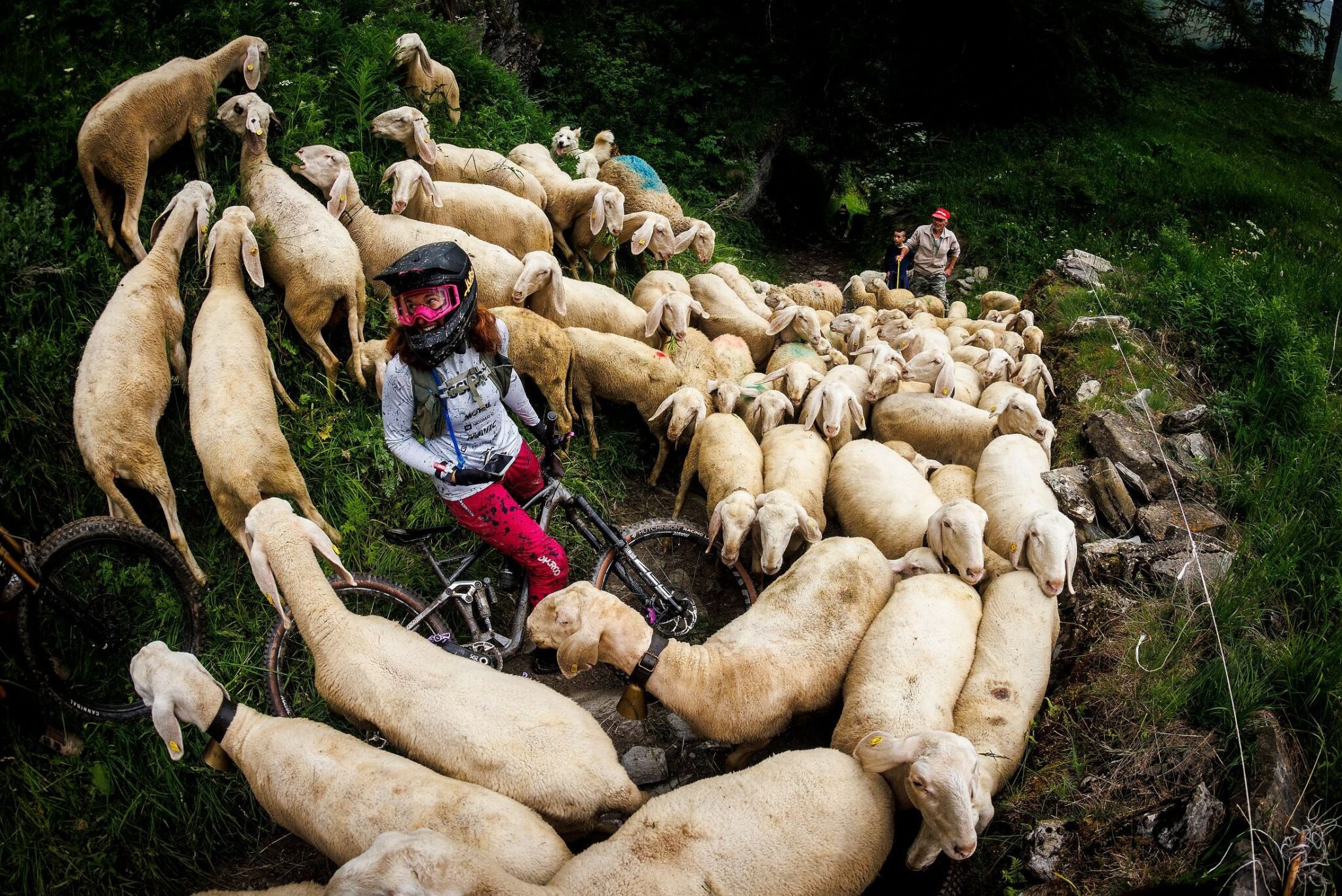 Nomad : la saison rêvée de Morgane Jonnier